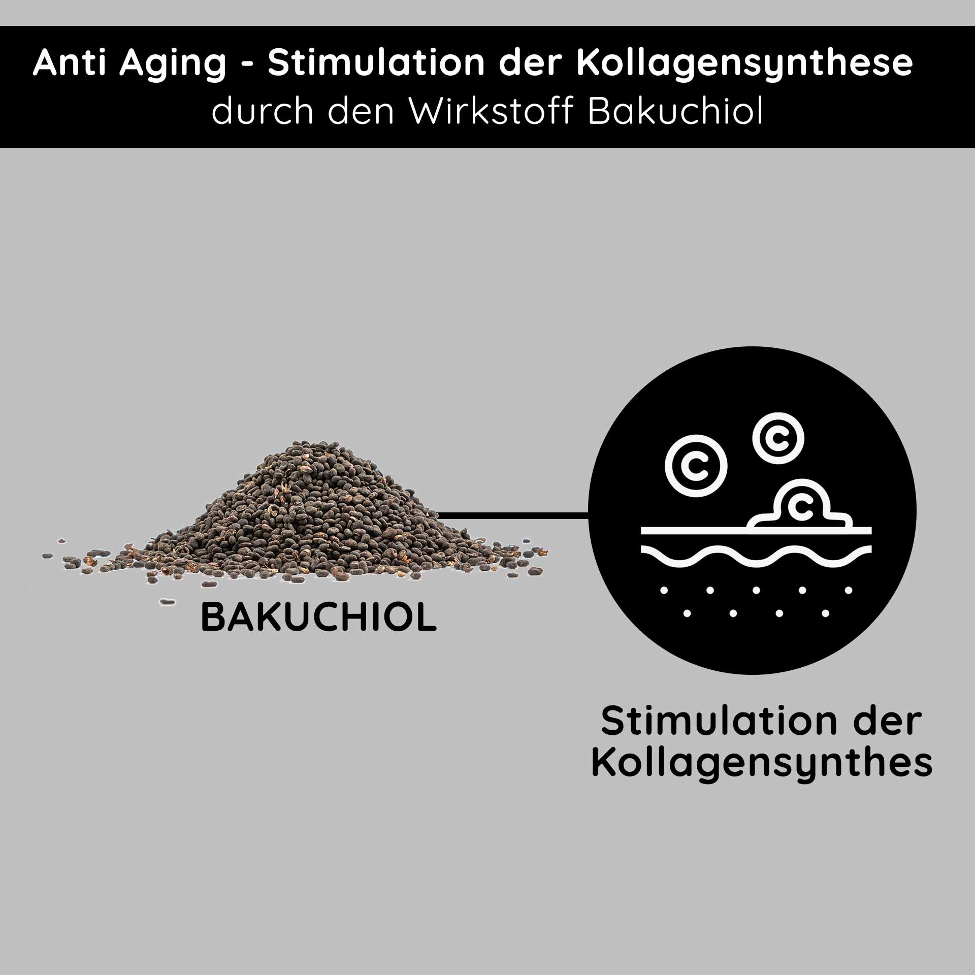 抵抗衰老!富含巴枯奇醇的 50 毫升晚霜 Bakuchiol-Pulver für Anti-Aging, stimuliert die Kollagensynthese, mit Text „Anti Aging – Stimulation der Kollagensynthese durch den Wirkstoff Bakuchiol.“
