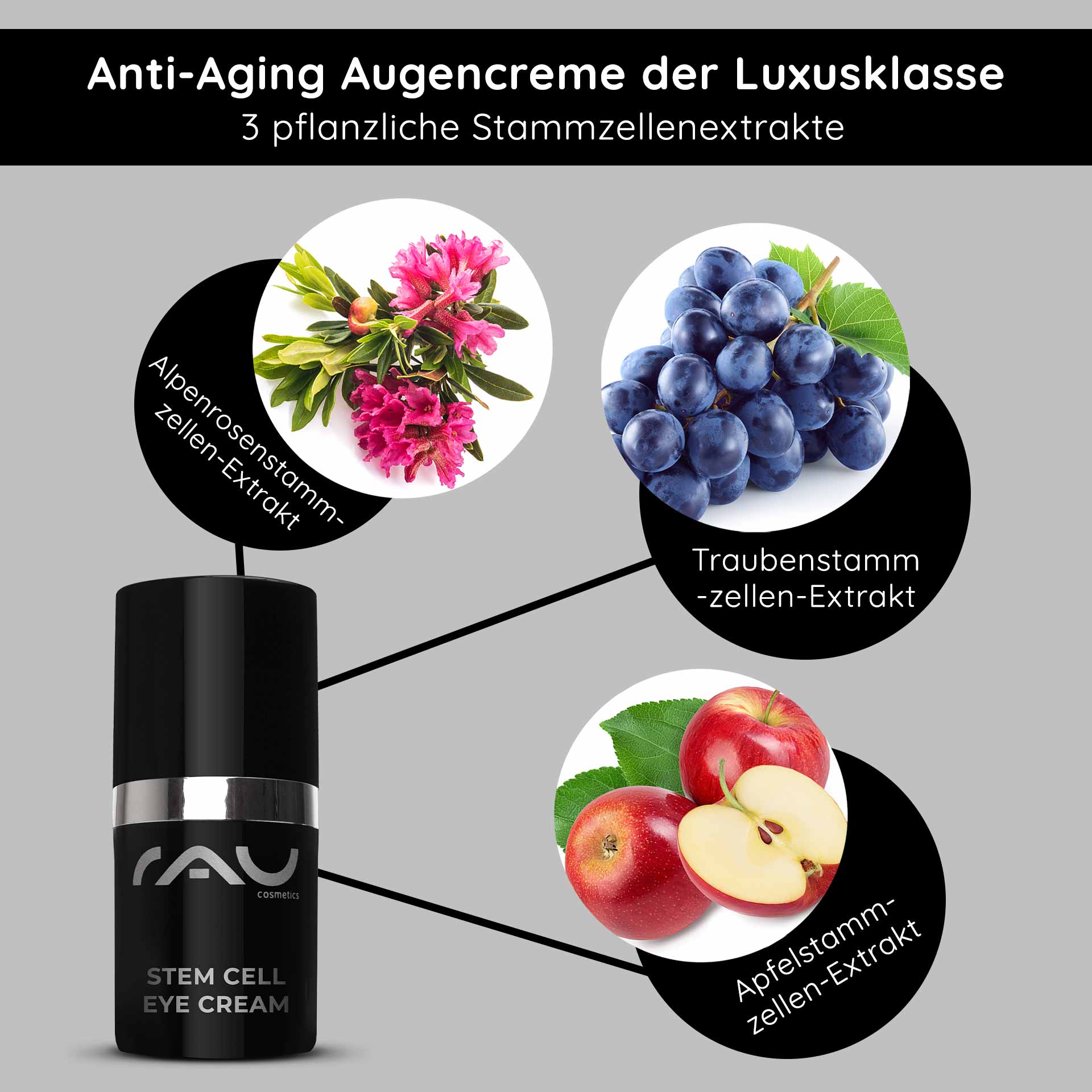 干细胞眼霜 15 毫升 抗衰老眼霜 Anti-Aging Augencreme von RAU Cosmetics mit pflanzlichen Stammzellenextrakten aus Alpenrose, Traube und Apfel, präsentiert in eleganter Verpackung.